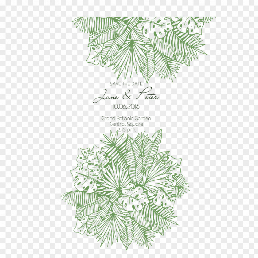 Green Leaves, Free To Download Leaf Euclidean Vector PNG