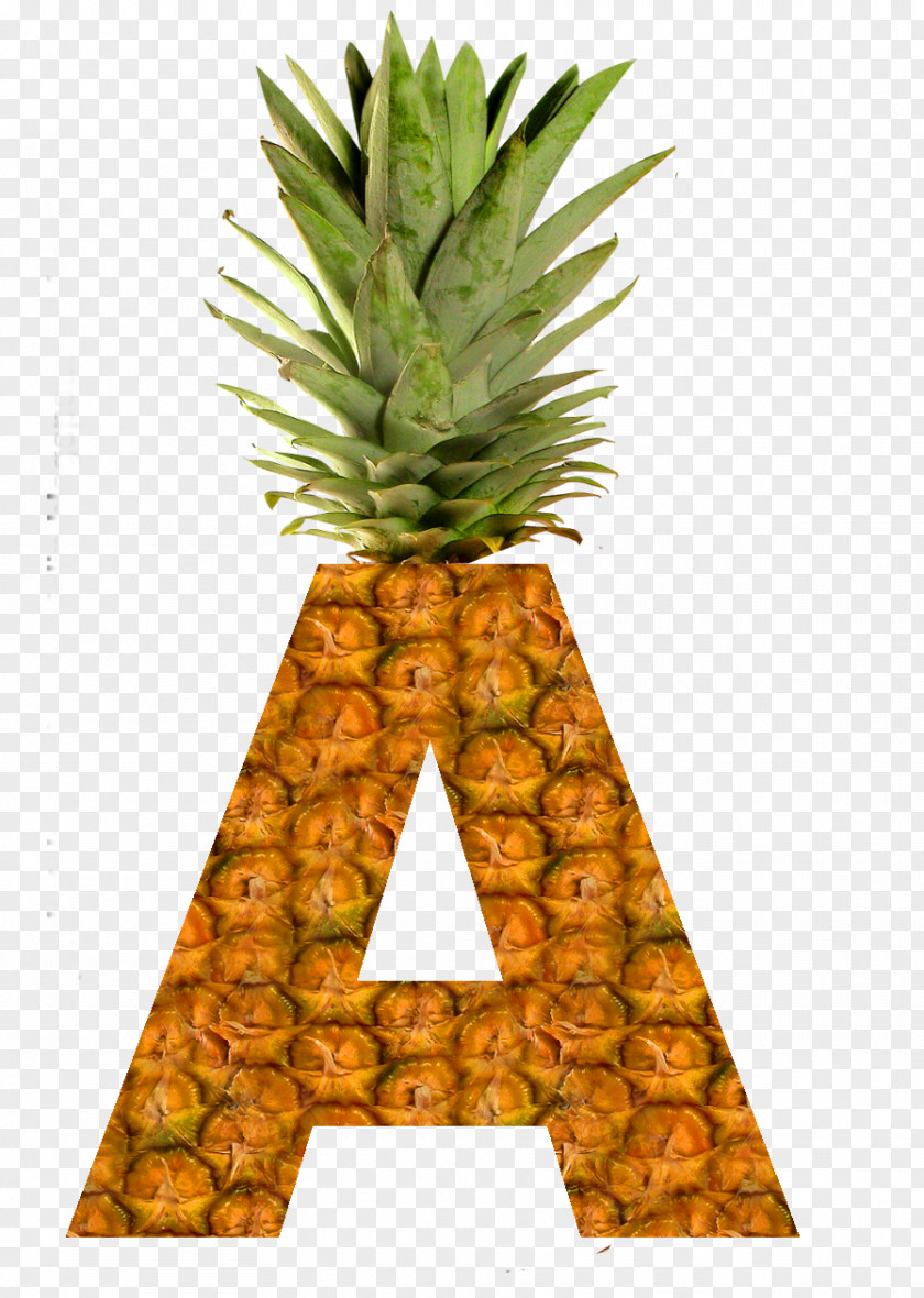 Pineapple Succade Smoothie Pizza Food PNG