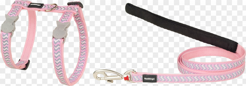 Pink Glare Leash M RTV PNG