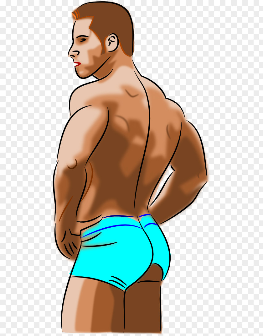 Gym Clipart Human Body Male Muscle Clip Art PNG