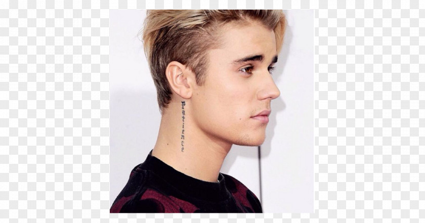 Justin Bieber Hairstyle Fashion Hair Coloring PNG