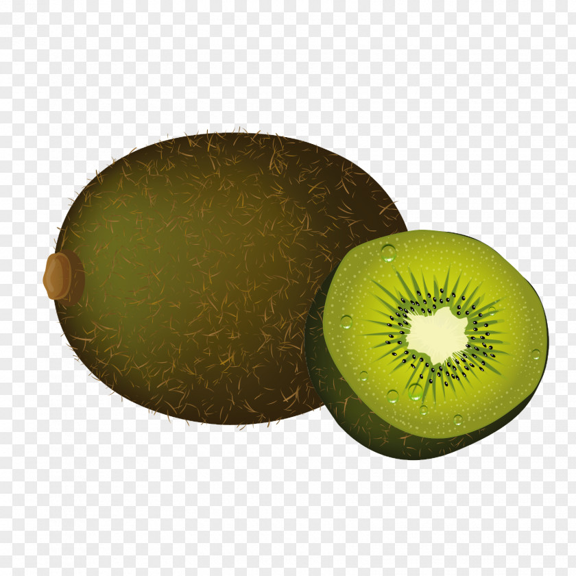 Kiwi Slice Kiwifruit Euclidean Vector PNG