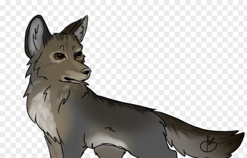 Saarloos Wolfdog Czechoslovakian Dog Breed Coyote Jackal PNG