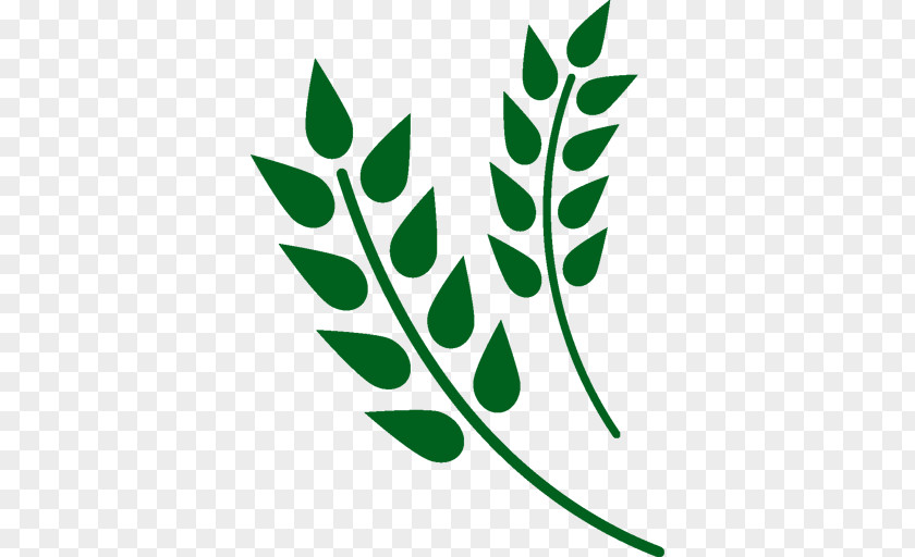 Wheat Grain Elevator Cereal Rice PNG