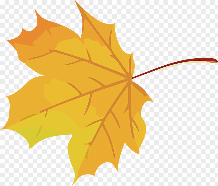 Autumn Leaf Yellow PNG