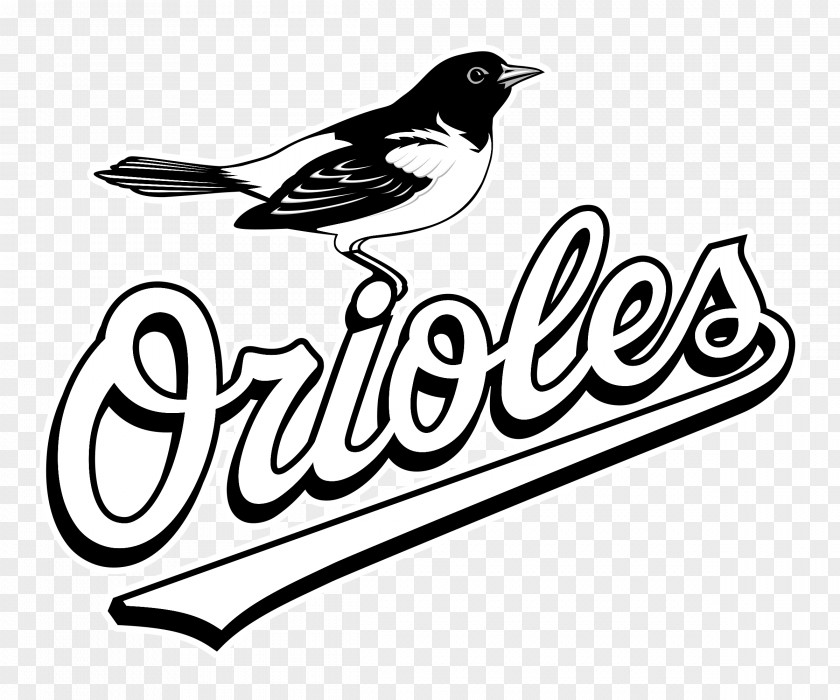 Bird Logo Oriole Park At Camden Yards Baltimore Orioles Limited Partnership Chicago White Sox Baseball PNG