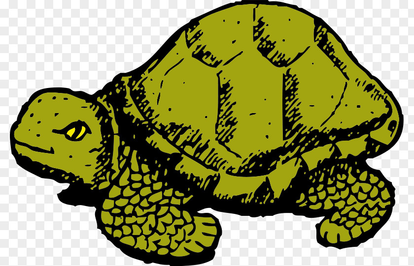 Dribbling Animal Cliparts Turtle The Tortoise And Hare Cartoon Clip Art PNG