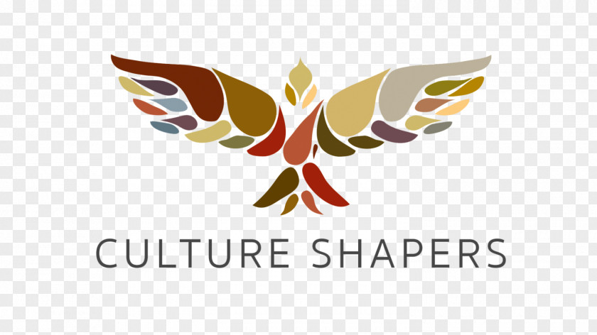 Entrepreneurial Team Cultureshapers.co.uk Organizational Culture TED Percussionist PNG