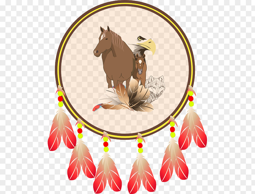 Indian Eagle Bald Clip Art Vector Graphics Openclipart PNG