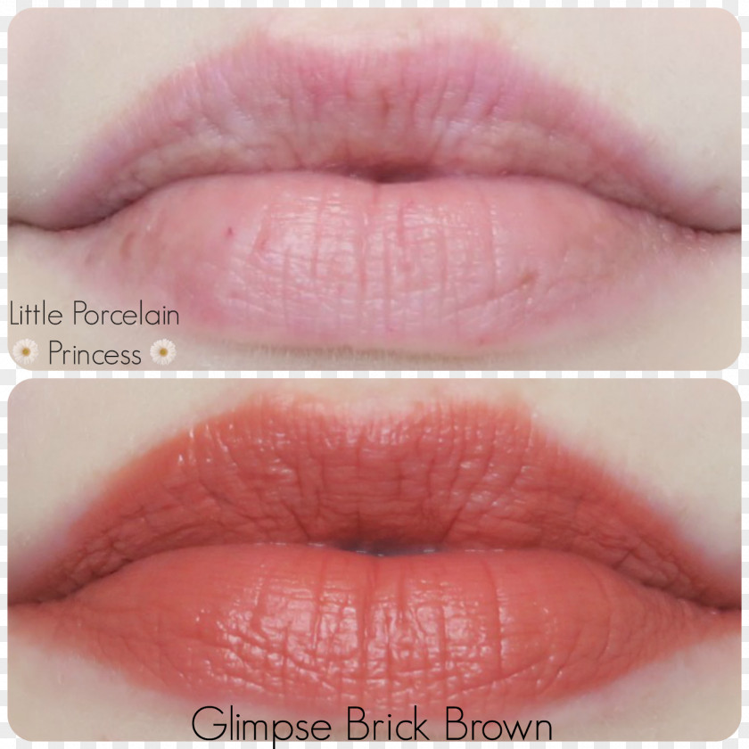 Lipstick Lip Stain Color Tints And Shades PNG