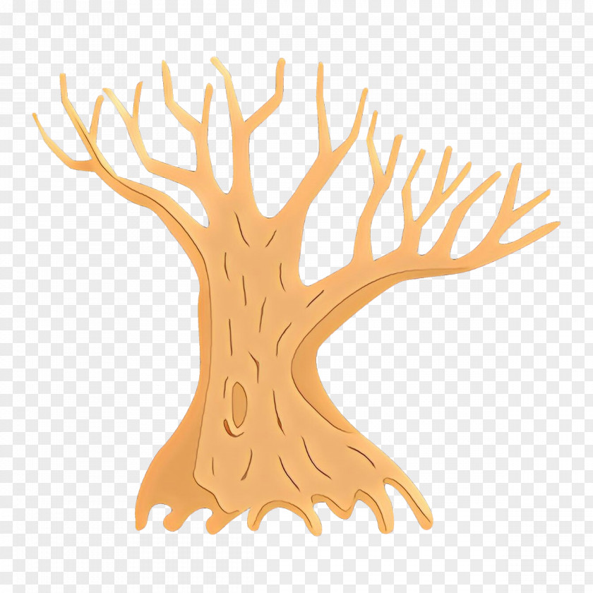 Tree Branch Coral Woody Plant PNG