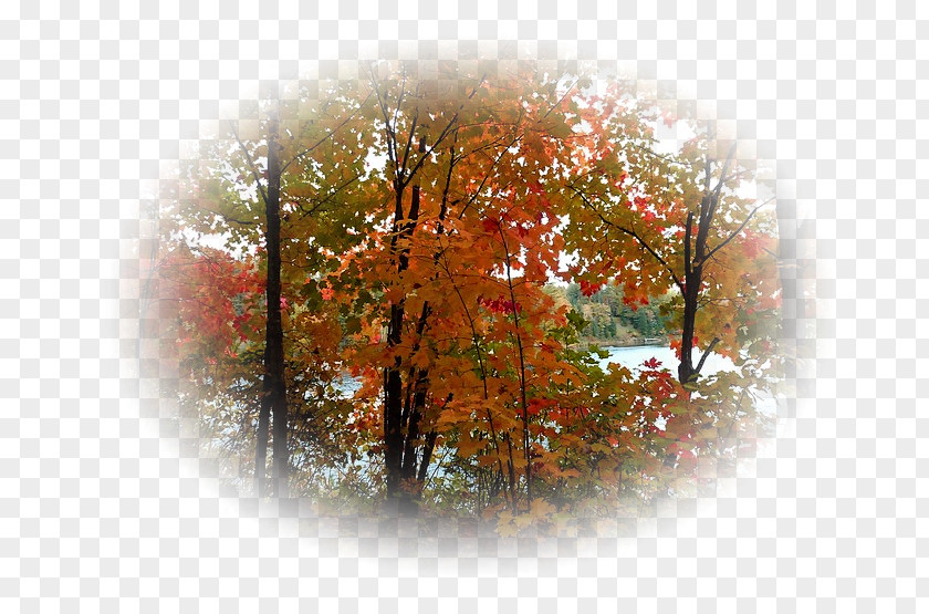 Autumn Landscape Desktop Wallpaper Clip Art PNG