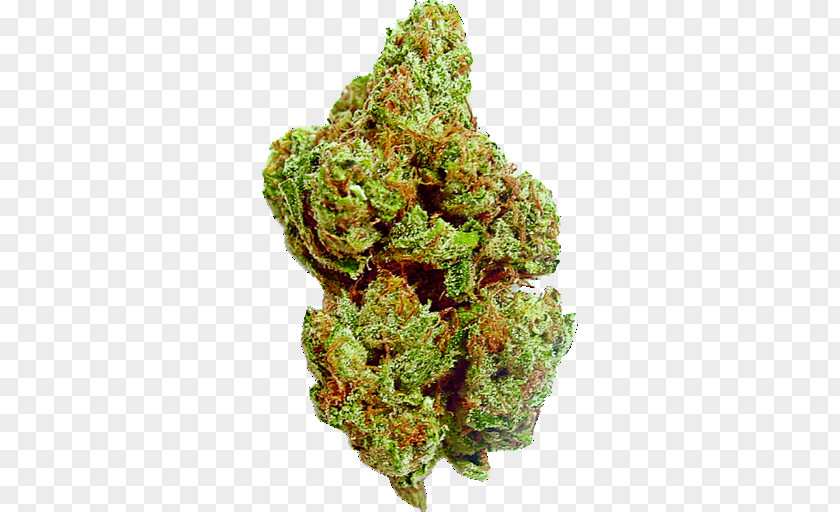 Cannabis Medical Kush Tetrahydrocannabinol Durban Poison PNG