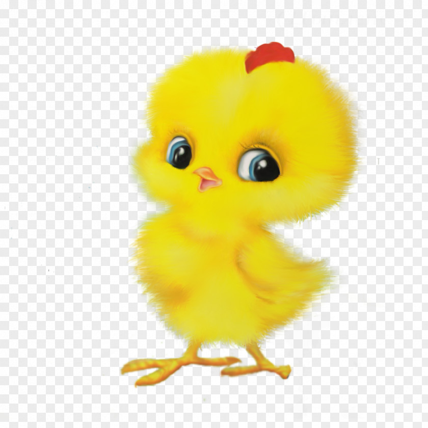 Chick Chicken Child First Hen Rooster Game PNG