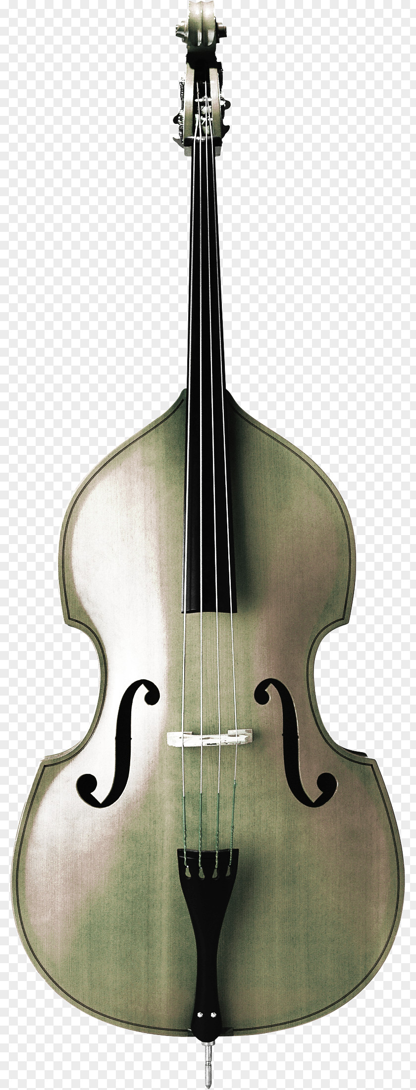 Guitar Bass Violin Violone Cello Musical Instrument PNG