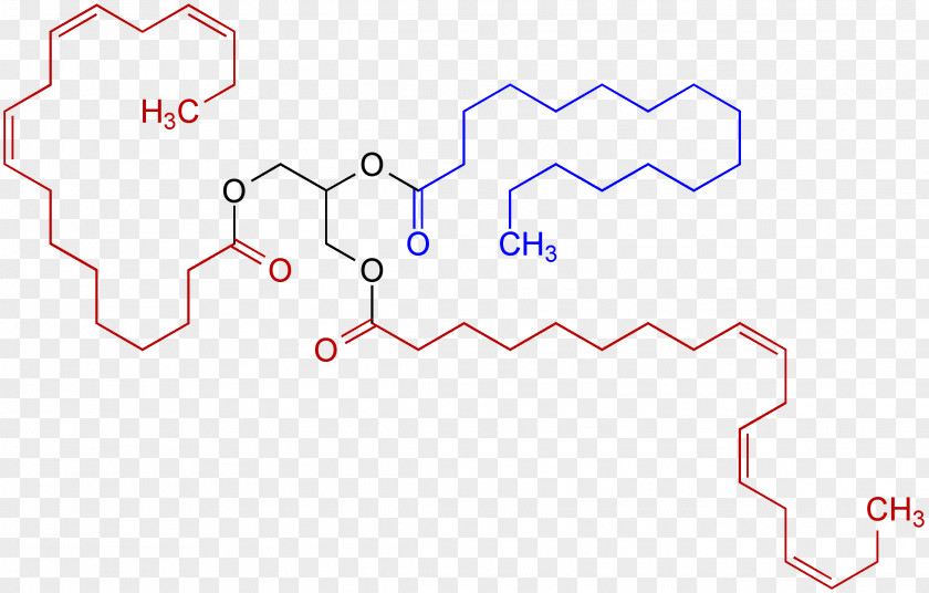 Oil Molecules Trans Fat Unsaturated Triglyceride PNG
