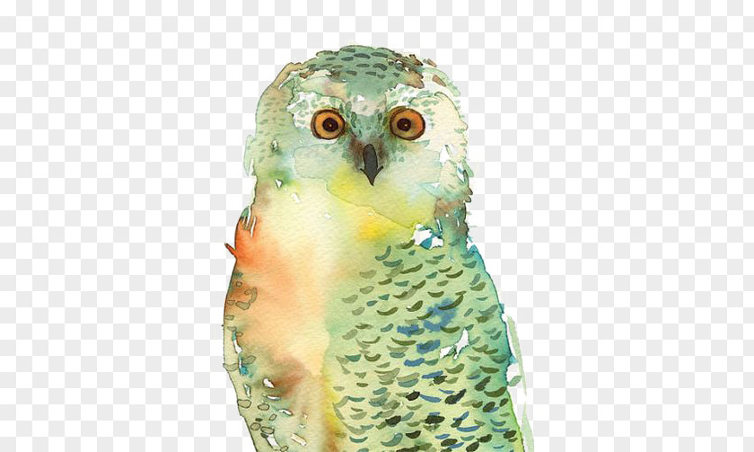 Owl T-shirt Bird Paper Watercolor Painting PNG