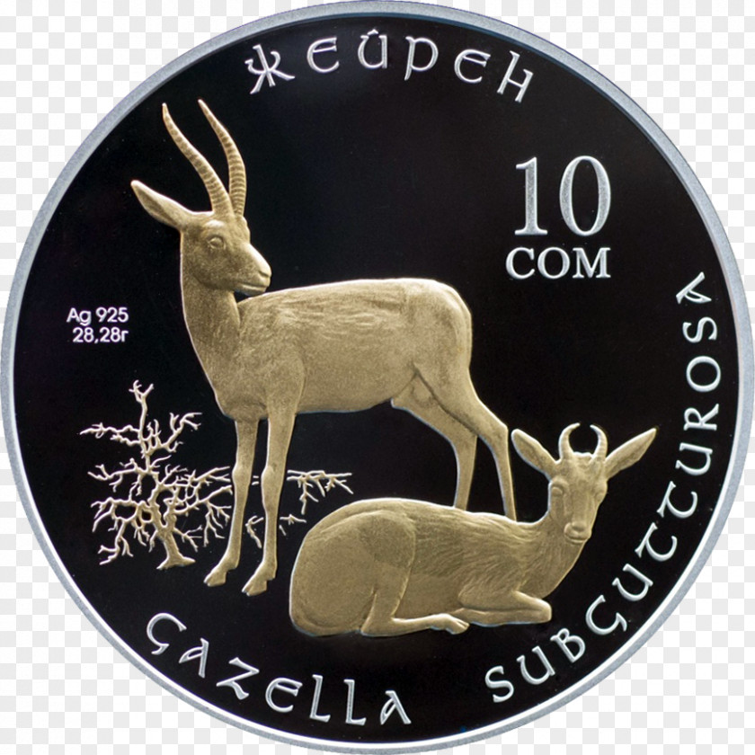 Coin Silver Kyrgyzstan Banknote Kazakhstani Tenge PNG