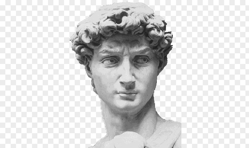 Face Michelangelo David Marble Sculpture Portrait PNG