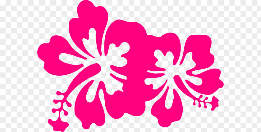 Hibiscus Pink Flowers Clip Art PNG