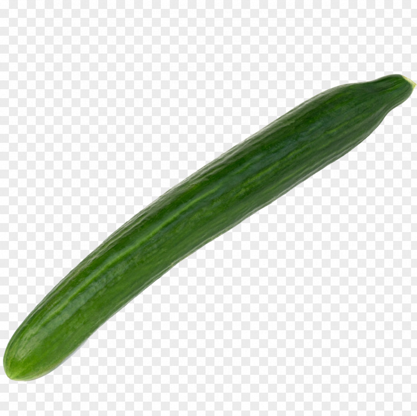 Cucumber Pickled Vegetable Melon Armenian PNG