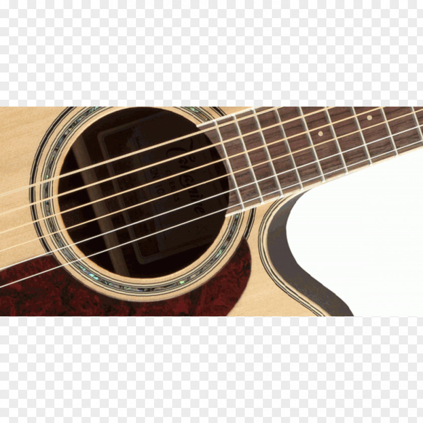 Fender Musical Instruments Corporation Acoustic Guitar Acoustic-electric PNG