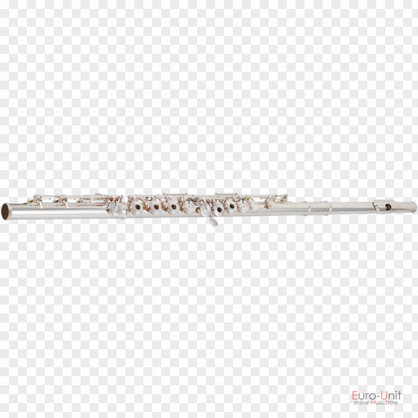 Flute Western Concert Musical Instruments Flageolet Pipe PNG