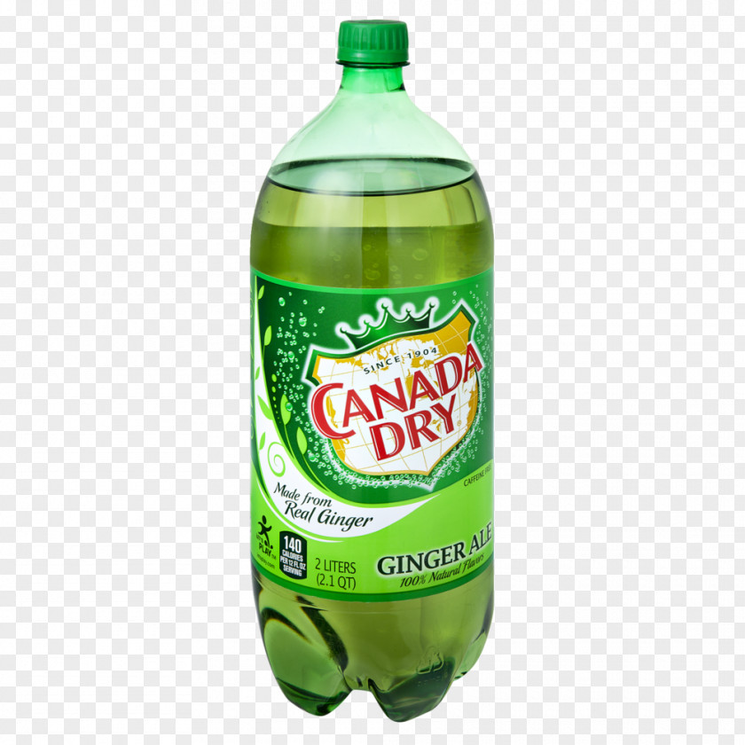 Ginger Slices Lemon-lime Drink Ale Fizzy Drinks Canada Dry PNG