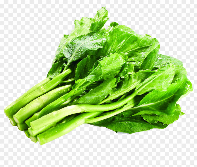 Green Vegetables Kale Romaine Lettuce Vegetarian Cuisine Chinese Broccoli Collard Greens PNG