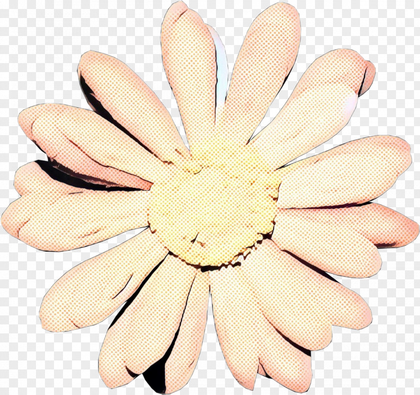 Beige Plant Flower PNG