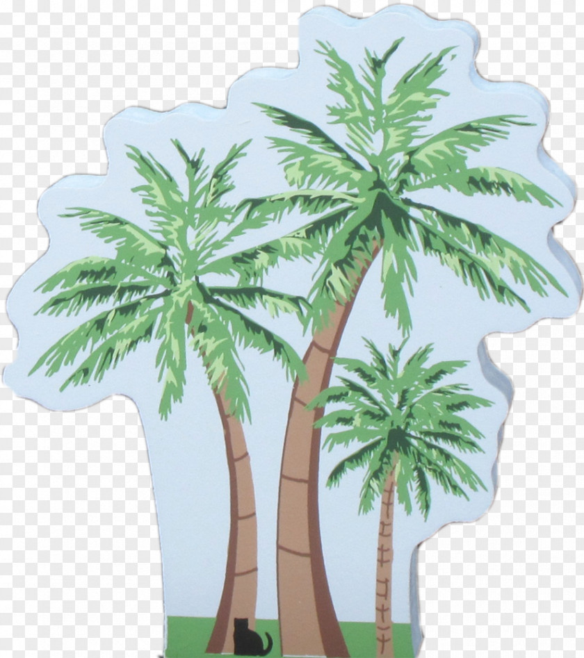 Cat Palm Arecaceae Hemp Plant Stem Tree PNG
