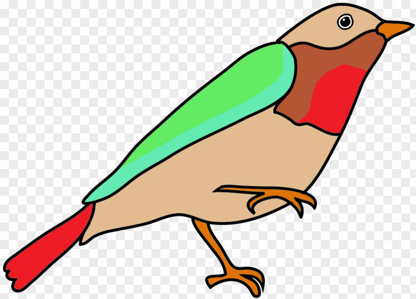 Corona Hummingbird Drawing Color Clip Art PNG
