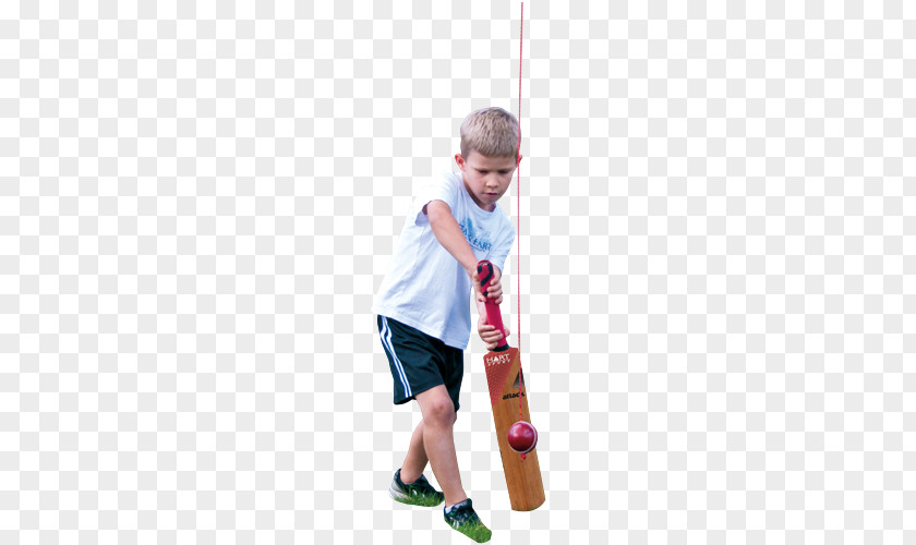 Cricket Baseball Bats Batting PNG