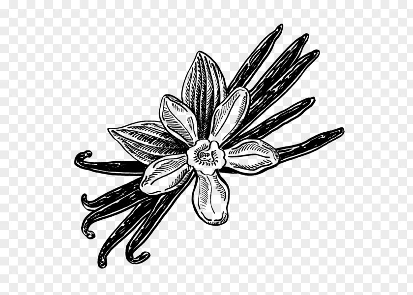 Flower Body Jewellery White PNG