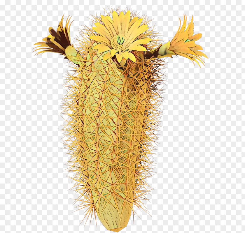 Hedgehog Cactus Yellow PNG