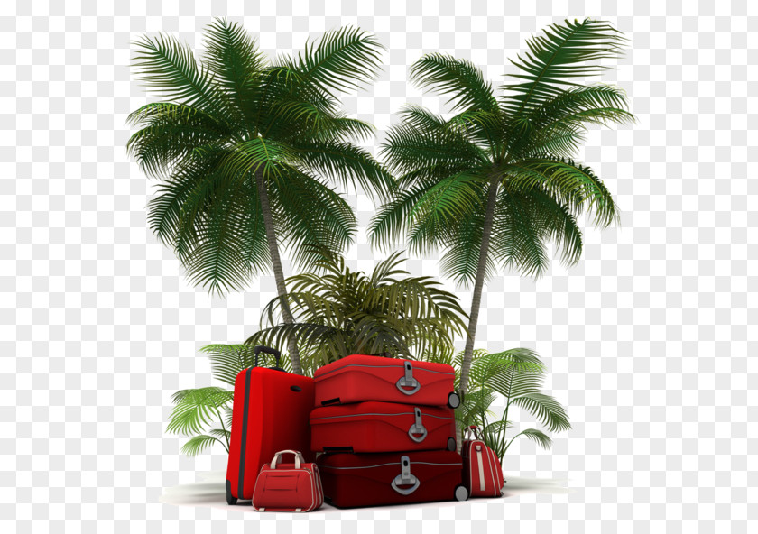 I.P.A.G. Srl Vacation Travel Suitcase PNG