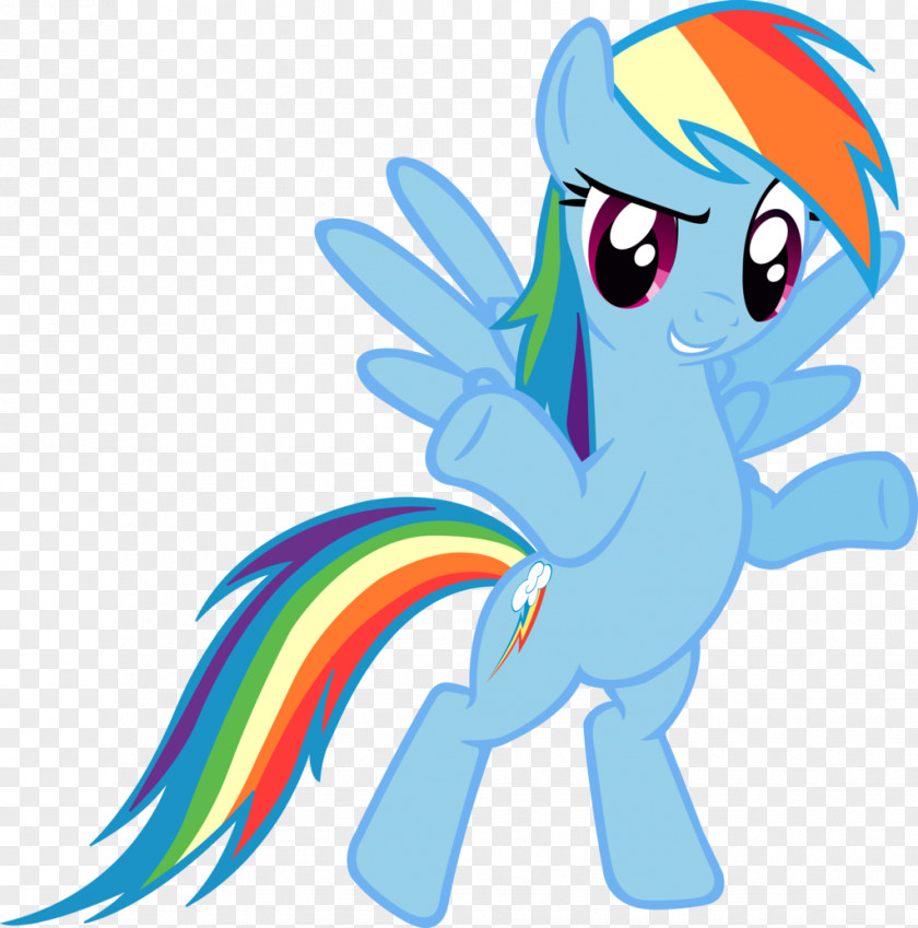 Just Awesome Pony Rainbow Dash Fluttershy Drawing Image PNG