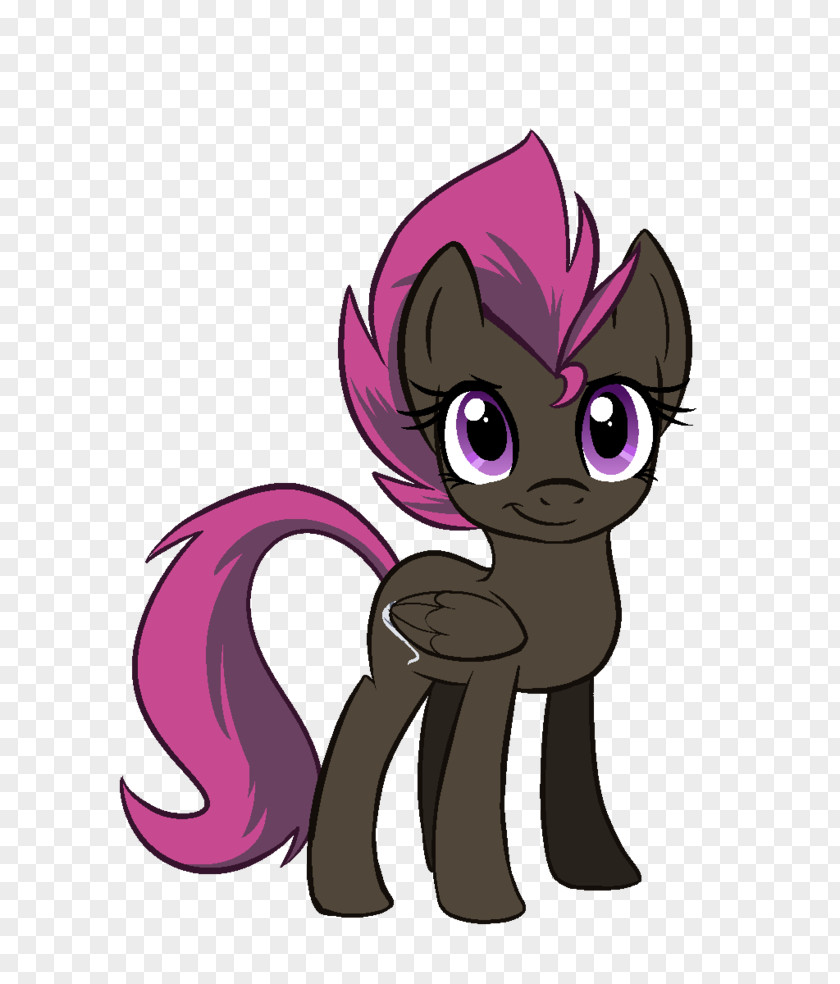 Kitten Whiskers Cat Pony Horse PNG