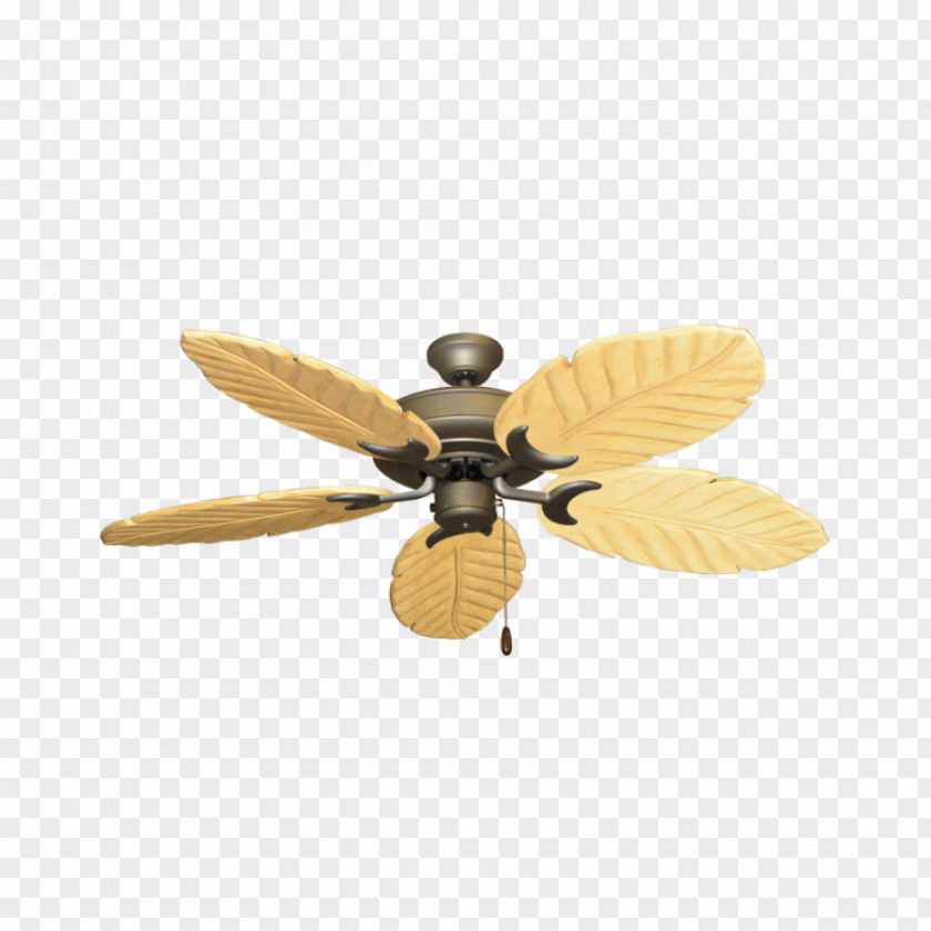 Light Lighting Ceiling Fans PNG