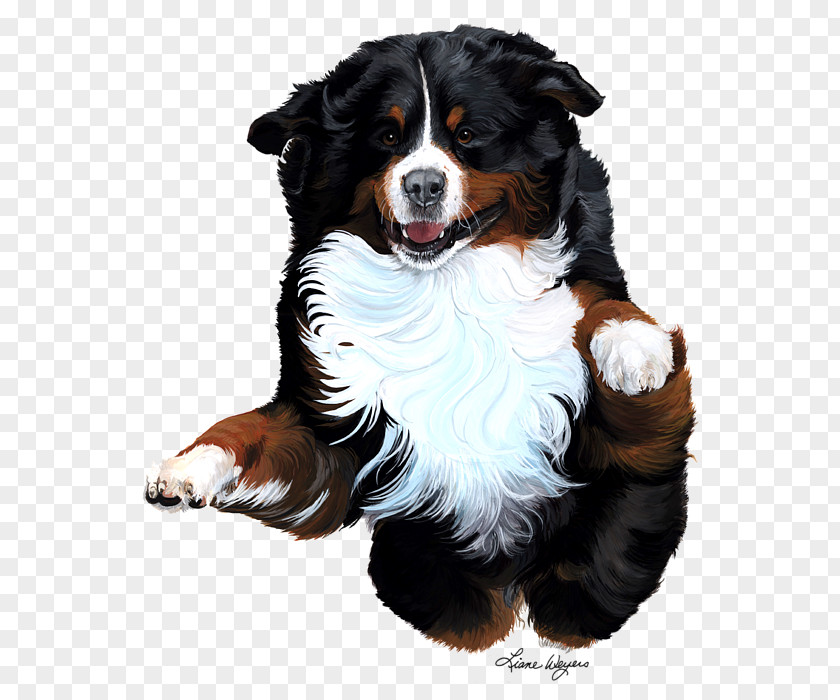 Painting Bernese Mountain Dog Breed Companion PNG