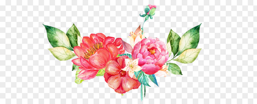 Rose Family Artificial Flower Watercolor Pink Flowers PNG