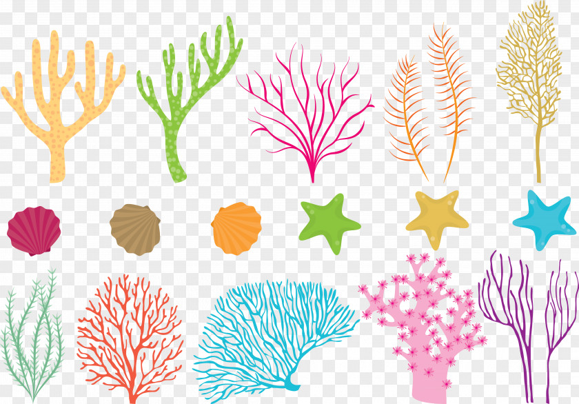 Vector Colored Coral Reef Fish Sea PNG
