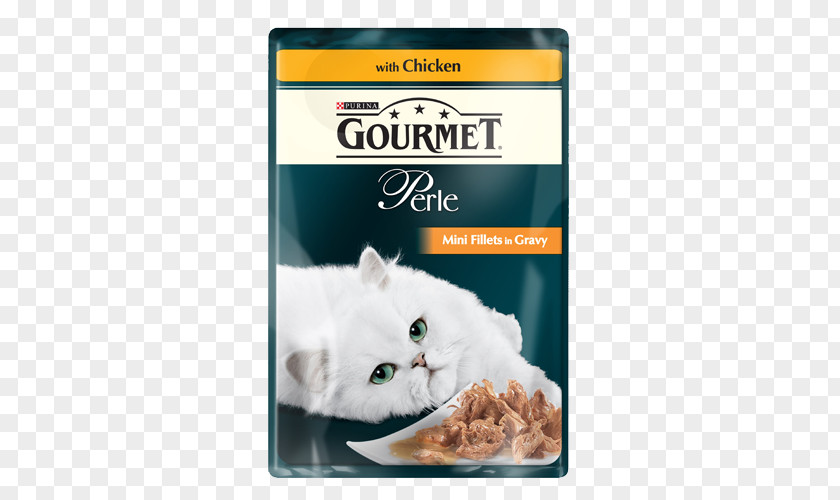 Cat Food Gravy Fillet PNG
