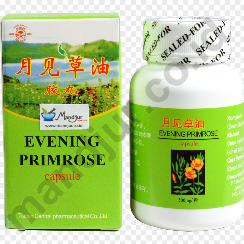 Evening Primrose Common Evening-primrose Dietary Supplement Gamma-Linolenic Acid Omega-6 Fatty Herb PNG
