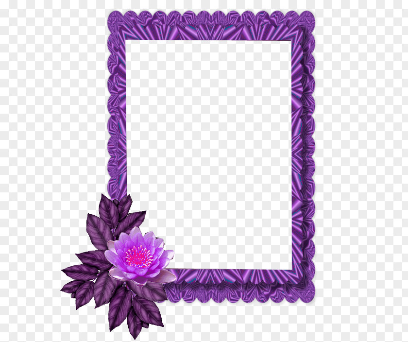 Ramki Picture Frames Image Clip Art Painting PNG