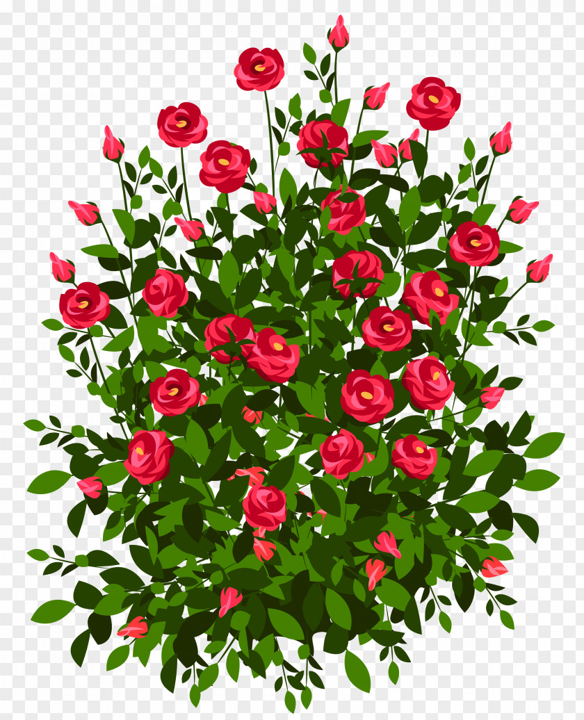 Red Rose Bush Clipart Picture Drawing Paper Art PNG