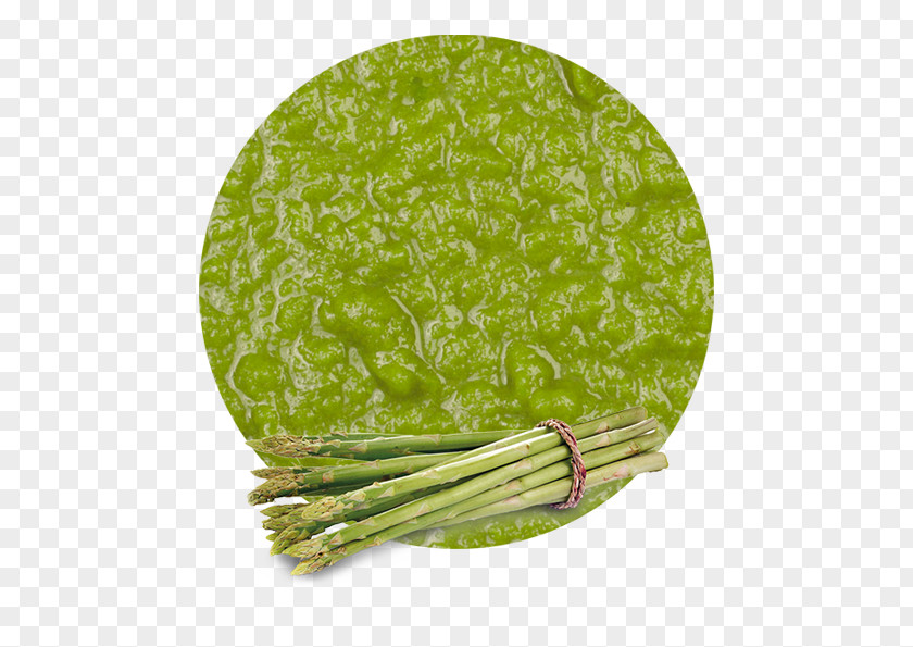 Vegetable Leaf Purée Asparagus Manufacturing PNG