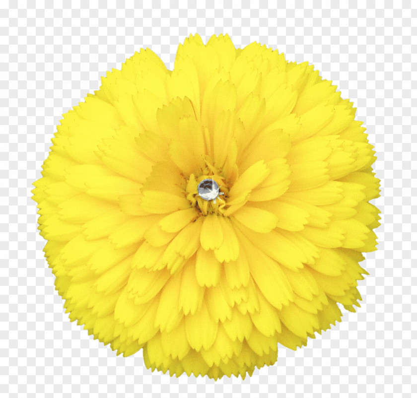 Yellow Flower Hat Clip Art PNG