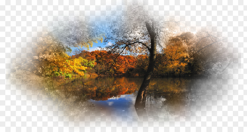 Autumn Desktop Wallpaper Nature UXGA Tree PNG