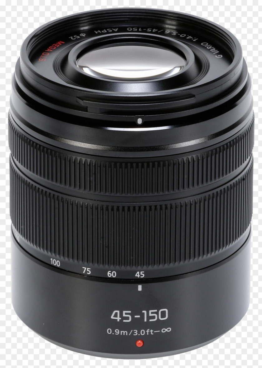 Camera Lens Panasonic Lumix G 25mm F1.7 ASPH Micro System DMC-GF1 Vario Telephoto Zoom 45-150mm F/4.0-5.6 H-FS45150 PNG